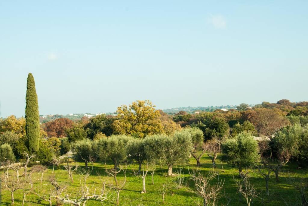 Il Pero Βίλα Monopoli Εξωτερικό φωτογραφία